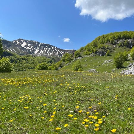 Guesthouse Alpini Lepushe Zewnętrze zdjęcie