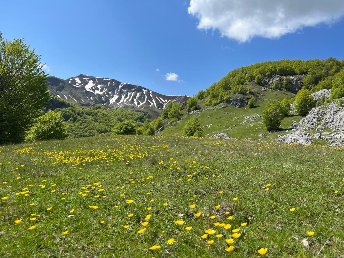 Guesthouse Alpini Lepushe Zewnętrze zdjęcie