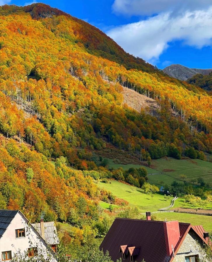Guesthouse Alpini Lepushe Zewnętrze zdjęcie