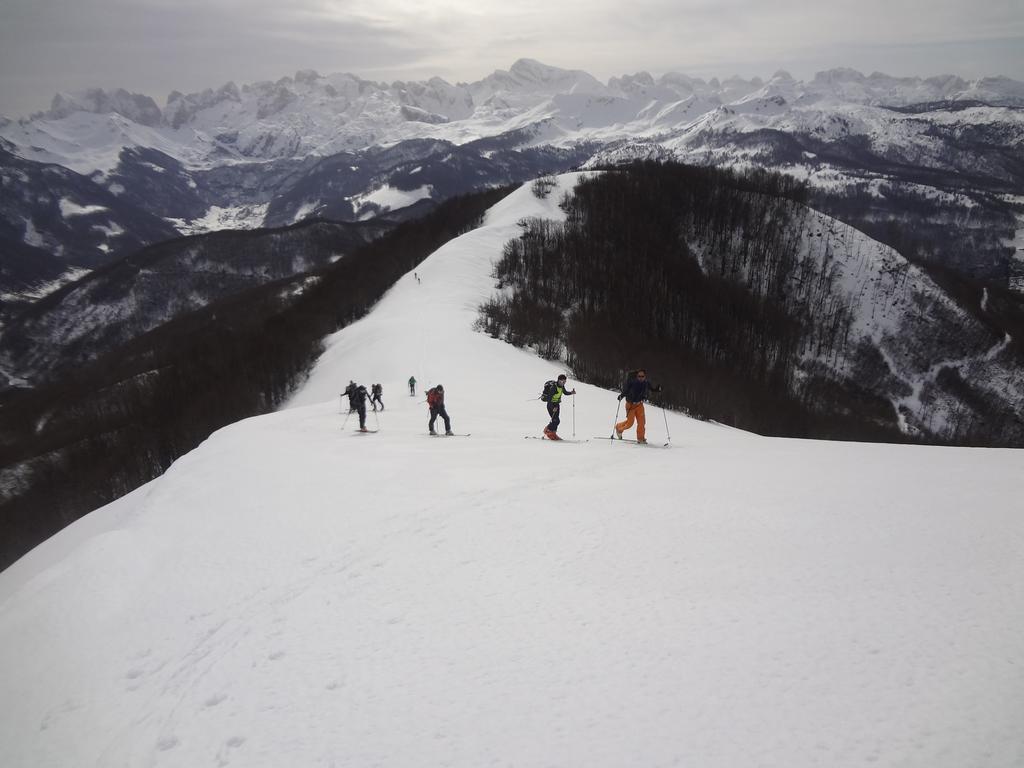 Guesthouse Alpini Lepushe Zewnętrze zdjęcie