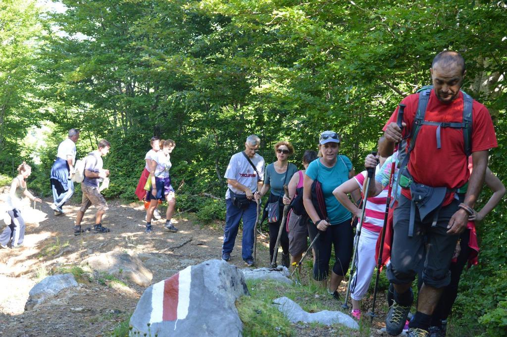 Guesthouse Alpini Lepushe Zewnętrze zdjęcie